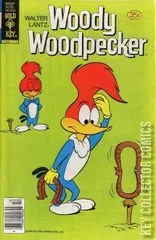 Cover for Woody Woodpecker #171