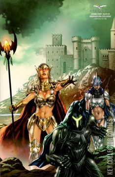 Variant Cover for Grimm Fairy Tales #22