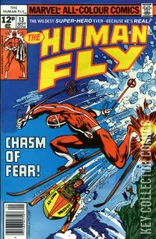 Variant Cover for Human Fly, The #13