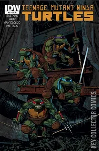 Teenage Mutant Ninja Turtles #35