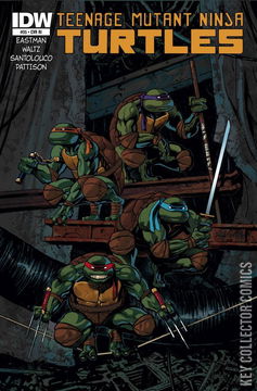 Variant Cover for Teenage Mutant Ninja Turtles #35
