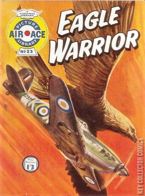 Air Ace Picture Library