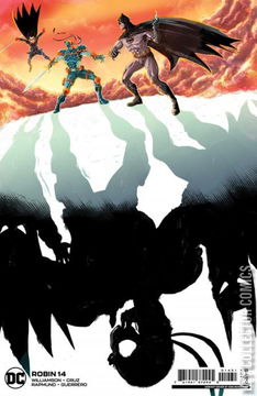 Variant Cover for Robin #14