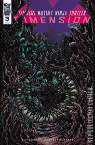 Teenage Mutant Ninja Turtles: Dimension X #3
