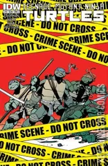 Cover for Teenage Mutant Ninja Turtles #15
