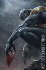 Variant Cover for Venom #250