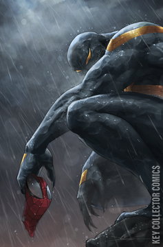 Variant Cover for Venom #250