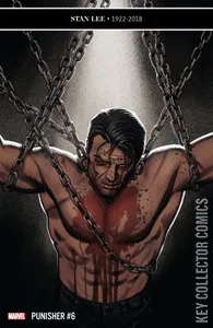 Punisher #6