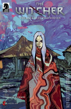 Variant Cover for Witcher: The Ballad of Two Wolves #3
