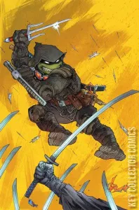 Teenage Mutant Ninja Turtles: The Last Ronin #1