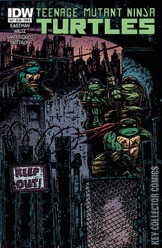 Variant Cover for Teenage Mutant Ninja Turtles #47