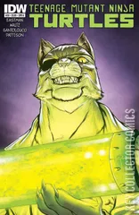 Cover for Teenage Mutant Ninja Turtles #38