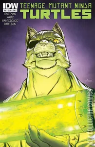Teenage Mutant Ninja Turtles #38