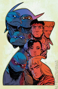 Variant Cover for Teenage Mutant Ninja Turtles vs. Street Fighter #1