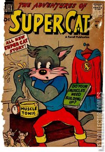 The Adventures of Super Cat #3
