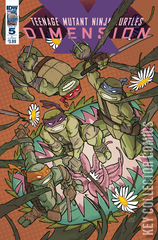 Variant Cover for Teenage Mutant Ninja Turtles: Dimension X #5
