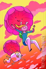 Cover for Adventure Time: Fionna and Cake #1