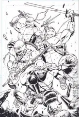 Variant Cover for Teenage Mutant Ninja Turtles: Boxed Set - Torpedo Comics