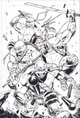 Teenage Mutant Ninja Turtles: Boxed Set - Torpedo Comics