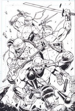 Variant Cover for Teenage Mutant Ninja Turtles: Boxed Set - Torpedo Comics