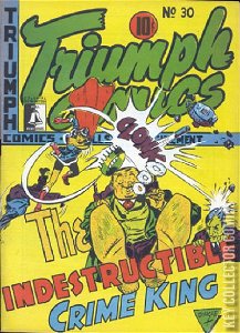 Triumph Comics #30 