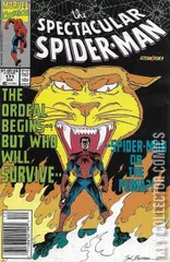 Variant Cover for Peter Parker: The Spectacular Spider-Man #171