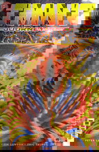 Teenage Mutant Ninja Turtles: Journeys #11