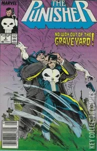 Punisher #8