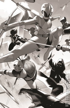 Variant Cover for Mighty Morphin Power Rangers / Teenage Mutant Ninja Turtles #2