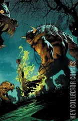 Cover for Proctor Valley Road #2