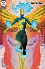 Cover for Fury of Firestorm #4