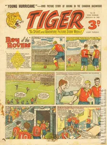 Tiger #21
