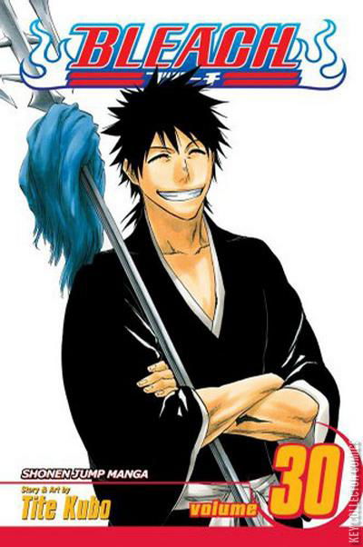 Cover art for Bleach #30