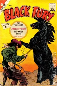 Black Fury #37