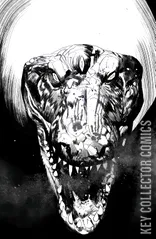 Variant Cover for Kroma #4