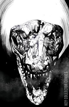 Variant Cover for Kroma #4