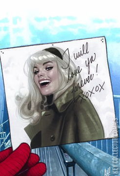 Variant Cover for Peter Parker: The Spectacular Spider-Man #300