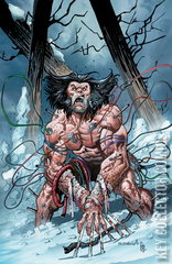 Variant Cover for Wolverine: Weapons of Armageddon #3