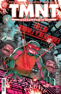 Teenage Mutant Ninja Turtles: Journeys #13