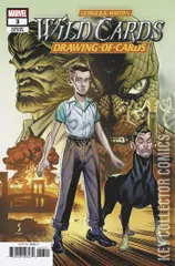 Variant Cover for Wild Cards: The Drawing of Cards #3
