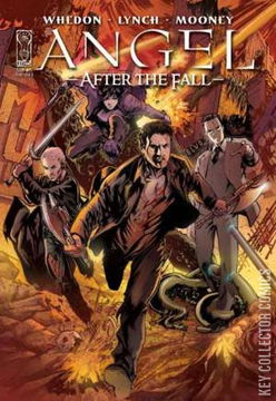 Variant Cover for Angel: After the Fall #15