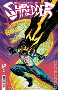 Variant Cover for Teenage Mutant Ninja Turtles: Shredder #2