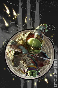 Variant Cover for Teenage Mutant Ninja Turtles: The Last Ronin #3
