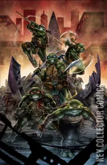 Variant Cover for Teenage Mutant Ninja Turtles #132