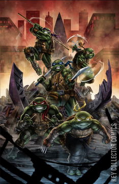 Variant Cover for Teenage Mutant Ninja Turtles #132