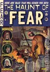 Cover for Haunt of Fear #11