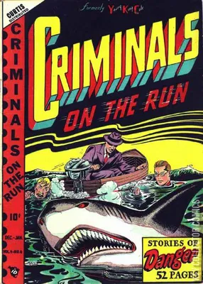 Criminals on the Run