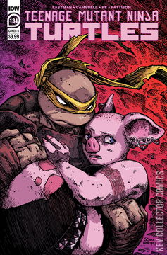Variant Cover for Teenage Mutant Ninja Turtles #134