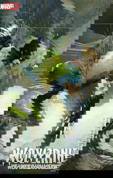 Variant Cover for Wolverine: Weapons of Armageddon #4