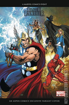 Variant Cover for Black Panther #25